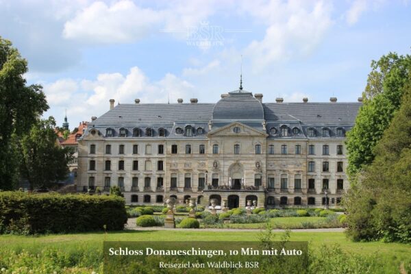 41 Schloss Donaueschingen